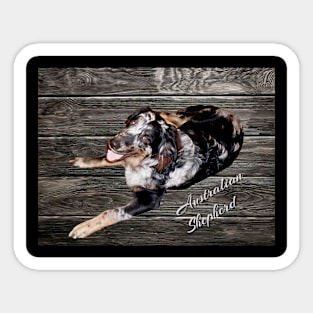 Australian Shepherd Sticker